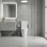 Elvera Tornado Ceramic Back To Wall Toilet Suite Back / Left and Right Bottom Inlet 660x390x885mm - Gloss White