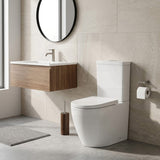 Elvera Tornado Ceramic Back To Wall Toilet Suite Back / Left and Right Bottom Inlet 660x390x885mm - Gloss White