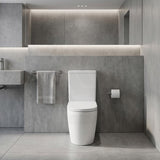 Elvera Tornado Ceramic Back To Wall Toilet Suite Back / Left and Right Bottom Inlet 660x390x885mm - Gloss White