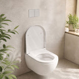Geberit Sigma60GH Bright Chrome Trim & Frame Brushed Chrome Button for Concealed Cistern 115.640.GH.1
