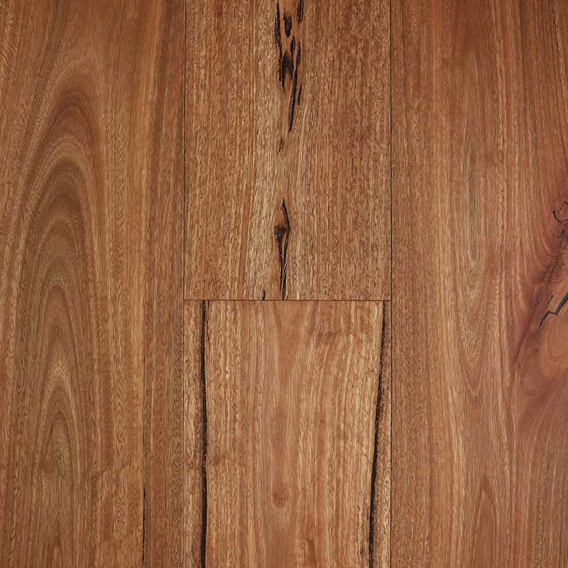 Preference Floors Fiddleback Australian Hardwood Engineered Flooring T&G Rustic Spotted Gum 1860x125x14mm