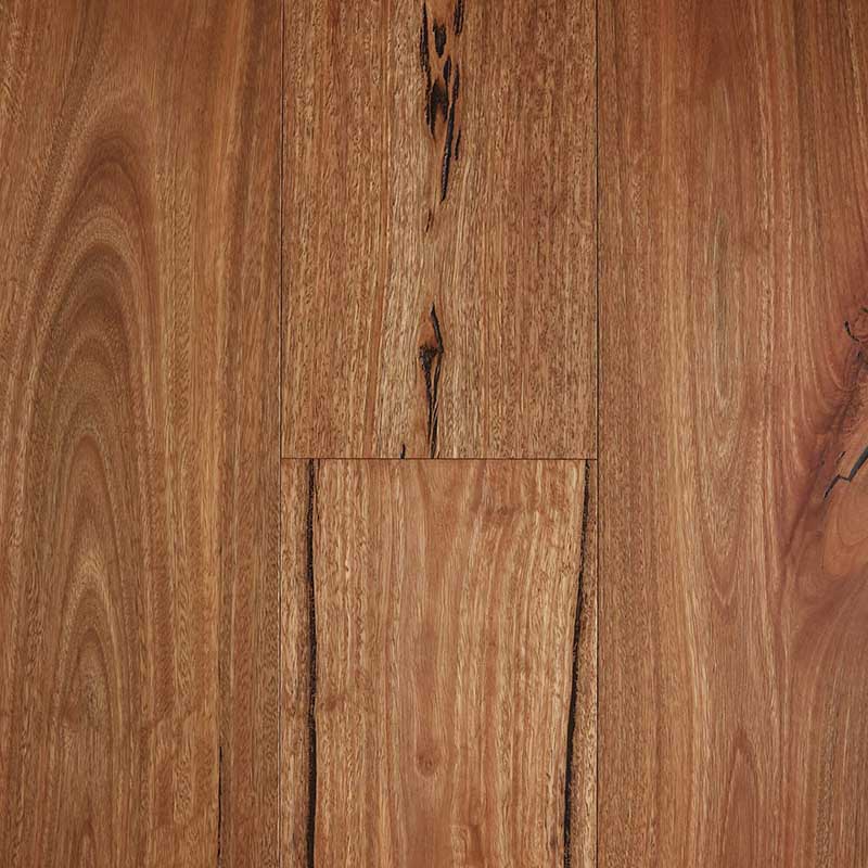 Preference Floors Fiddleback Australian Hardwood Engineered Flooring T&G Rustic Spotted Gum 1860x189x14mm