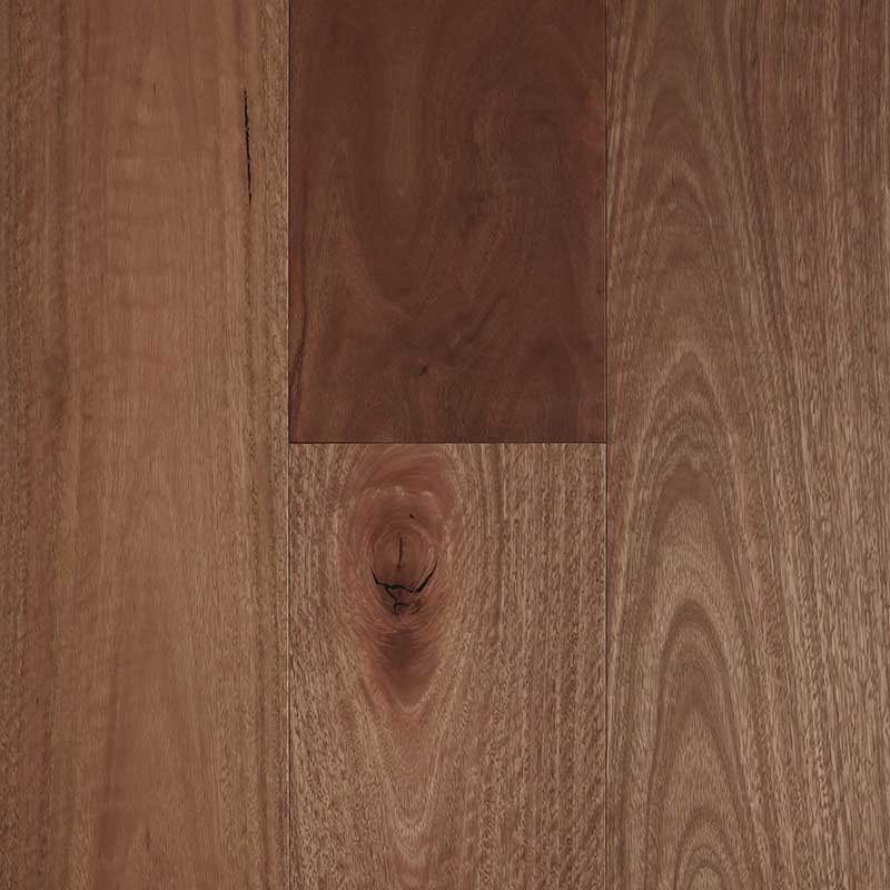 Preference Floors Fiddleback Australian Hardwood Engineered Flooring T&G Smooth Spotted Gum 1860x189x14mm