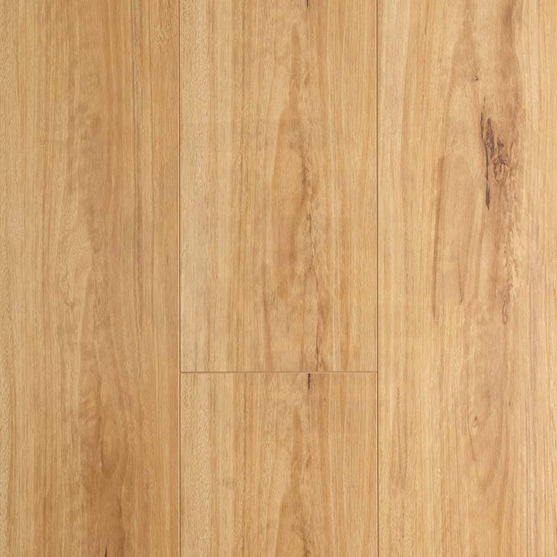 Preference Floors OAKLEAF Embossed Matte OL Blackbutt 8mm AC3 Laminate Flooring