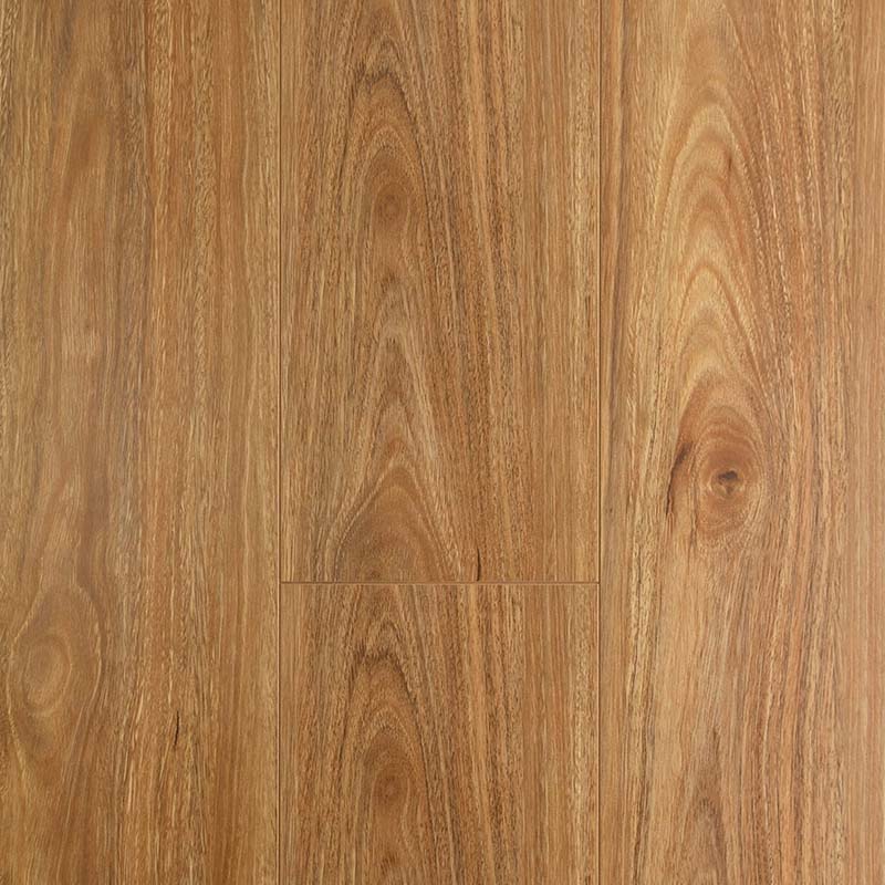 Preference Floors OAKLEAF Embossed Matte OL Spotted Gum 8mm AC3 Laminate Flooring