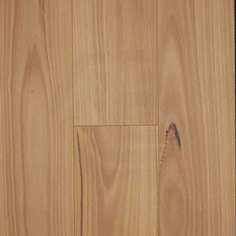 Preference Floors Oakleaf HD PLUS Blackbutt 12mm AC4 Laminate Flooring