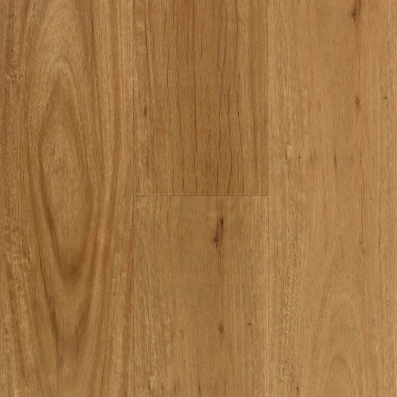 Preference Floors Aspire RCB Coastal Blackbutt Hybrid 8mm with Underlay