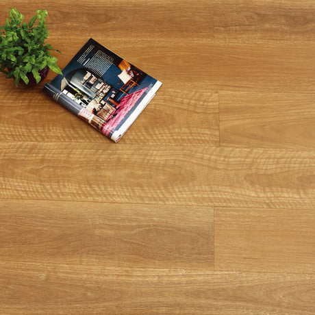 Preference Floors Aspire RCB QLD Spotted Gum Hybrid 8mm with Underlay