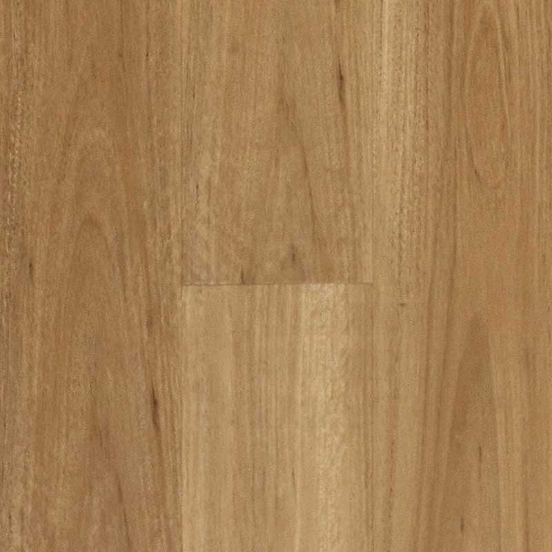 Preference Floors Hydroplank Blackbutt 178mm WPC Hybrid Flooring with 0.5mm Wear Layer