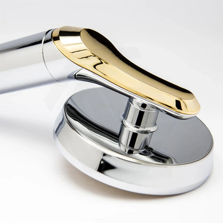 Aroma Sense Prestige Round Stainless Steel Handheld Shower - Gold
