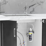 Puretec Z Series Chrome Long Reach Designer Mixer Tap with Quick-Twist Undersink Drinking Water Filter System