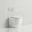 R&T Frameless Inwall Concealed Cistern With Rimless Wall Faced Toilet Pan Push Button Vortex