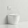 R&T Frameless Inwall Concealed Cistern With Rimless Wall Faced Toilet Pan Push Button Vortex