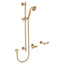 G#2(Gold) Fienza Lillian Lever Rail Shower Set Urban Brass Sets