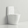 Rak Sensation Back-To-Wall Toilet Suite With Rimless Hygienic Flush Hidden Fixings Gloss White