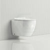 Raul Rimless Wall Hung Toilet Pan With Vortex Flushing Technology For Bathroom Pans