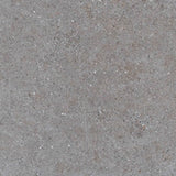 Galaxy Dark Grey Matt Concrete Look 300/600mm Tile