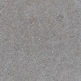Galaxy Dark Grey Matt Concrete Look 300/600mm Tile