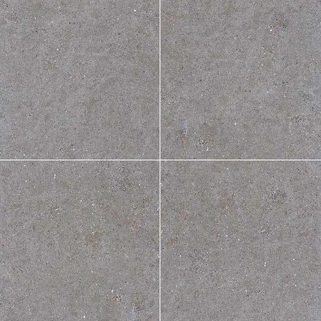 Galaxy Dark Grey Matt Concrete Look 300/600mm Tile
