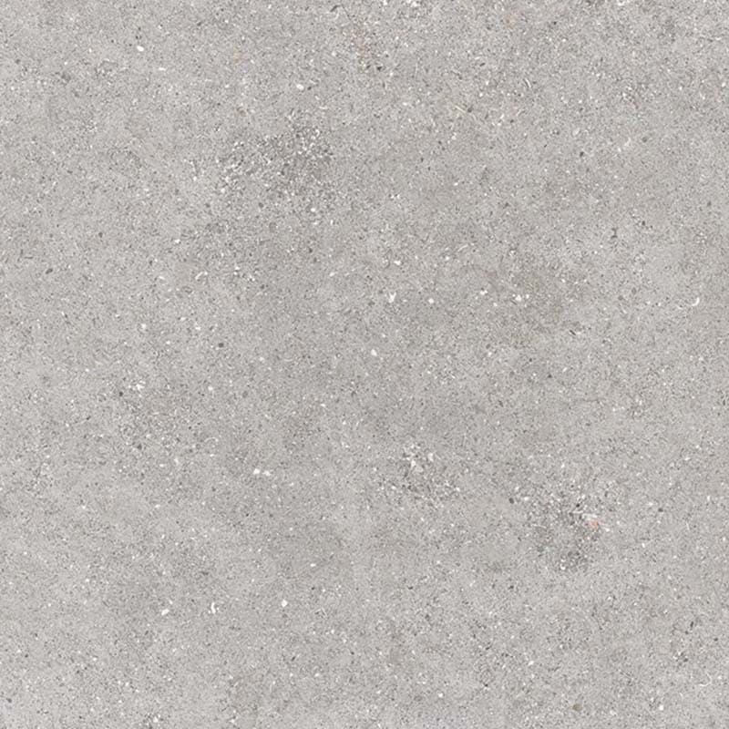 Galaxy Light Grey Matt Concrete Look 300/600mm Tile