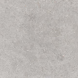 Galaxy Light Grey Matt Concrete Look 300/600mm Tile