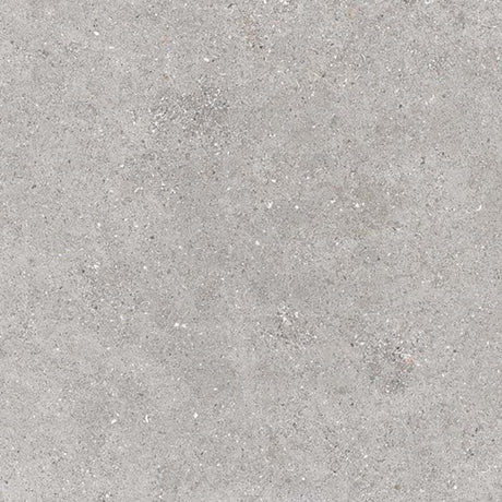 Galaxy Light Grey Matt Concrete Look 300/600mm Tile
