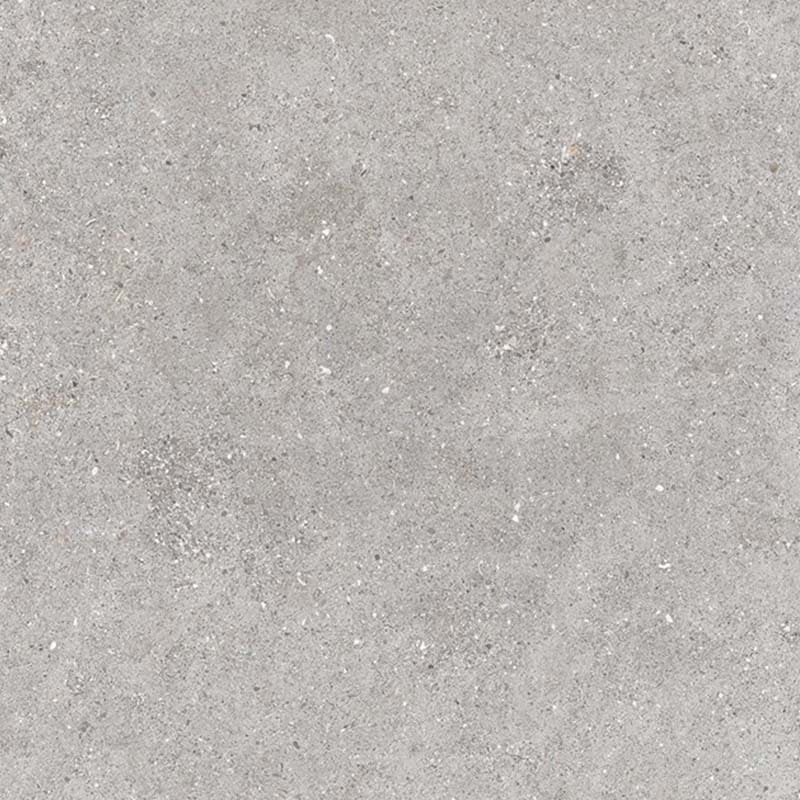 Galaxy Light Grey Matt Concrete Look 300/600mm Tile