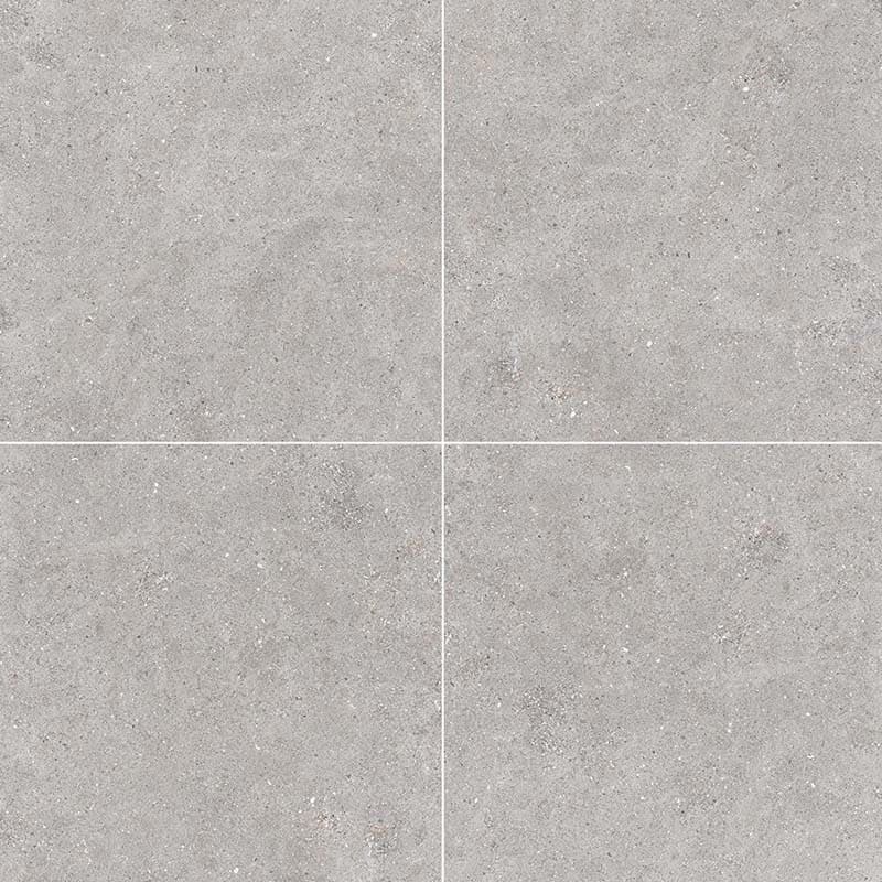 Galaxy Light Grey Matt Concrete Look 300/600mm Tile