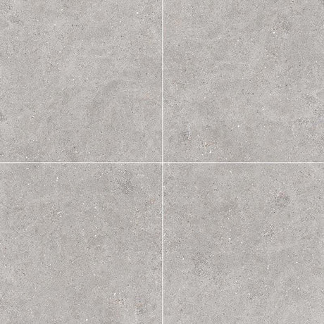 Galaxy Light Grey Matt Concrete Look 300/600mm Tile