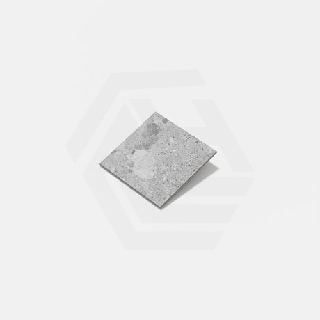 Terrazzo Grey Matt 300/600mm Porcelain Tile