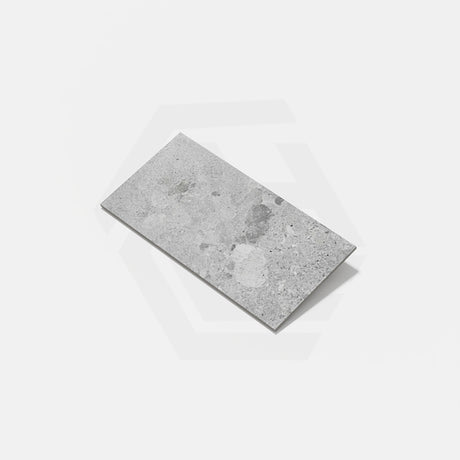 Terrazzo Grey Matt 300/600mm Porcelain Tile