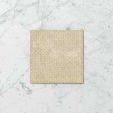 Tetra Fusion 130x130mm Gloss Tile 20 Colors Available