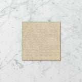 Tetra Fusion 130x130mm Satin Matt Tile 20 Colors Available
