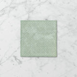 Tetra Fusion 130x130mm Gloss Tile 20 Colors Available