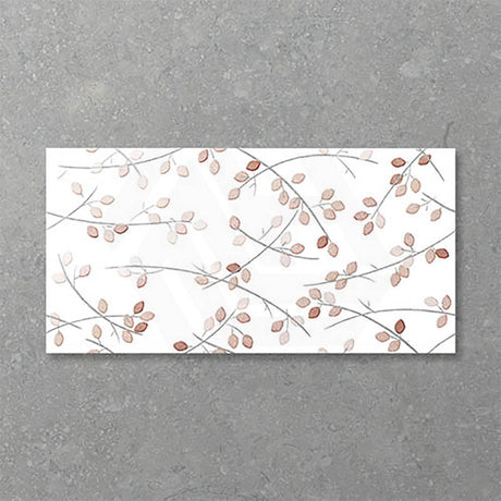 Folio Young Birch 300x600mm Gloss Tile 8 Colors Available