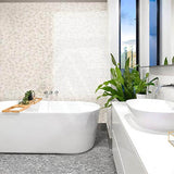 Folio Alessia 300x600mm Gloss Tile 8 Colors Available