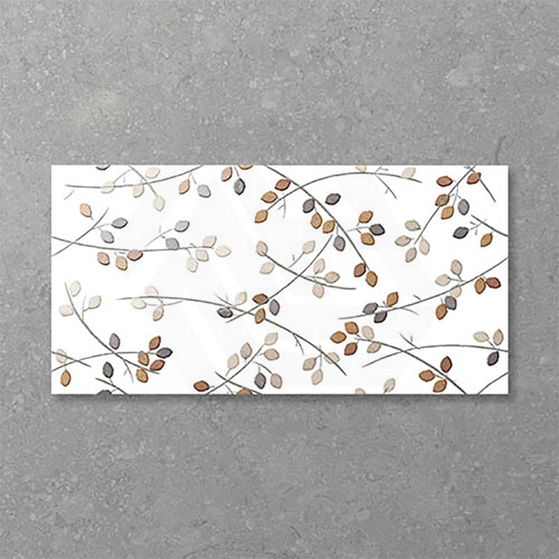 Folio Young Birch 300x600mm Gloss Tile 8 Colors Available