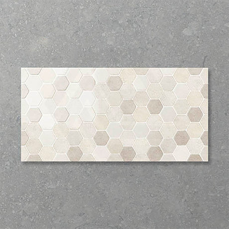 Folio Hexology 300x600mm Gloss Tile 8 Colors Available