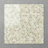 Folio Polka 300x600mm Gloss Tile 8 Colors Available