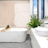 Folio Alessia 300x600mm Gloss Tile 8 Colors Available