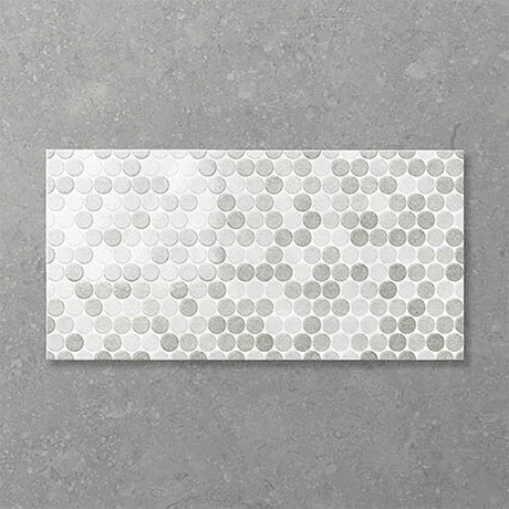 Folio Polka 300x600mm Gloss Tile 8 Colors Available