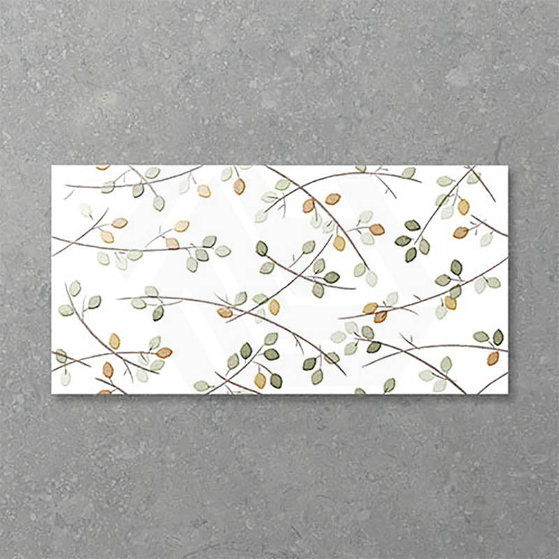 Folio Young Birch 300x600mm Gloss Tile 8 Colors Available
