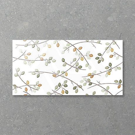 Folio Young Birch 300x600mm Gloss Tile 8 Colors Available