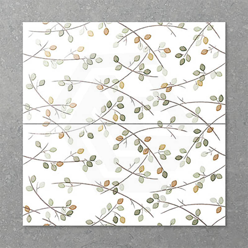 Folio Young Birch 300x600mm Gloss Tile 8 Colors Available