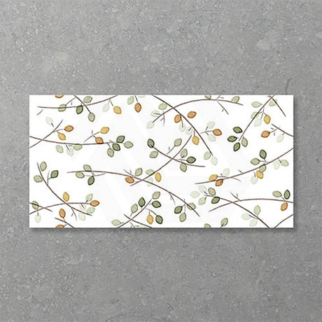 Folio Young Birch 300x600mm Satin Matt Tile 8 Colors Available