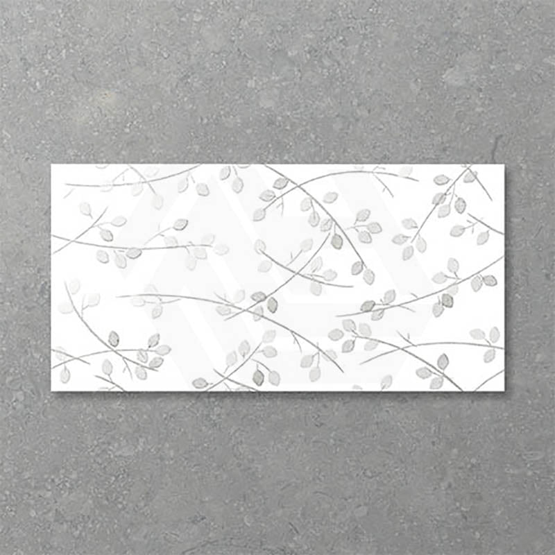 Folio Young Birch 300x600mm Gloss Tile 8 Colors Available