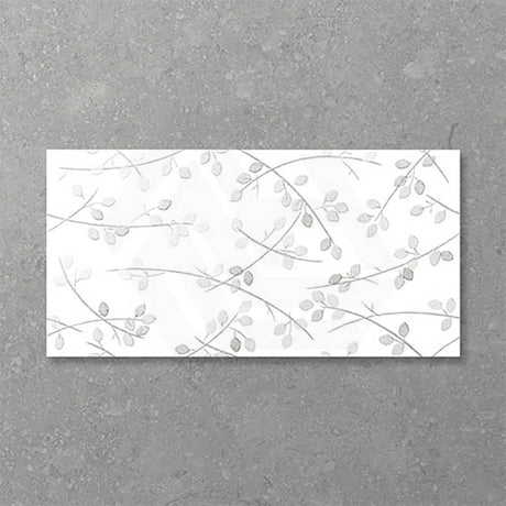 Folio Young Birch 300x600mm Gloss Tile 8 Colors Available