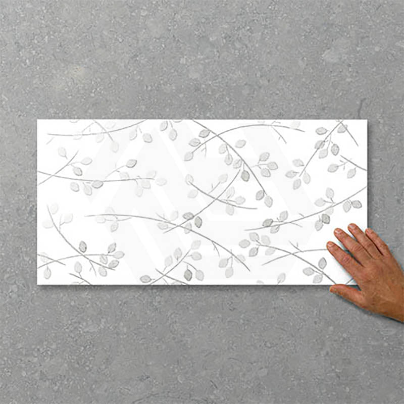 Folio Young Birch 300x600mm Gloss Tile 8 Colors Available