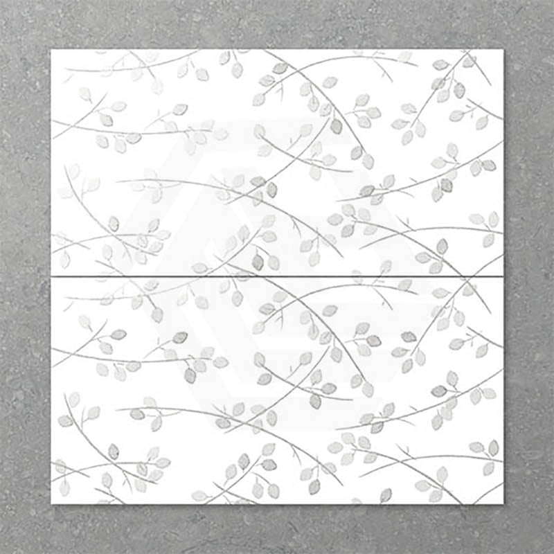 Folio Young Birch 300x600mm Gloss Tile 8 Colors Available