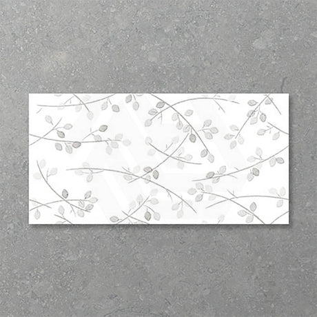 Folio Young Birch 300x600mm Satin Matt Tile 8 Colors Available